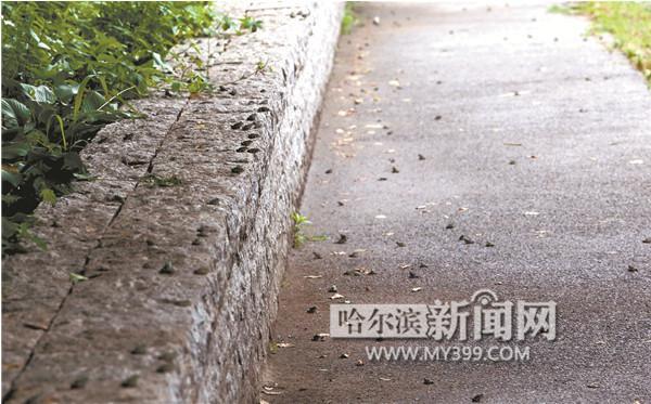 巴尔德斯国家队-乐鱼app(leyu)官方网站-乐鱼官网