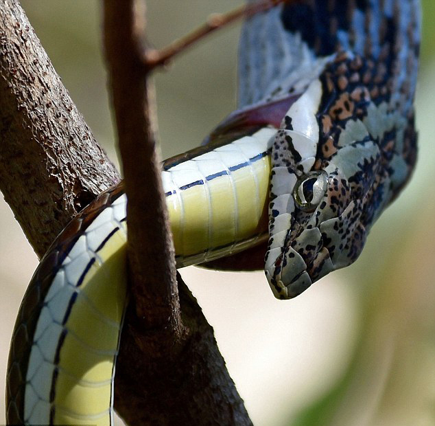 瓜伊塔-乐鱼app(leyu)官方网站-乐鱼官网