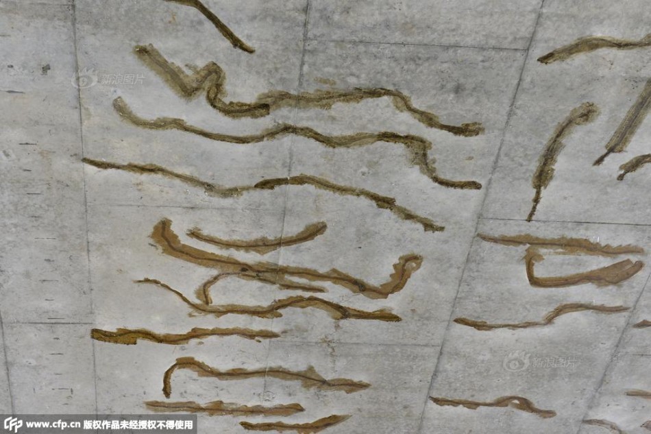 足球直播吻球-乐鱼app(leyu)官方网站-乐鱼官网