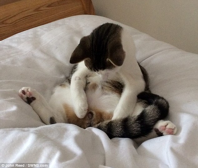 韩国足球联赛-乐鱼app(leyu)官方网站-乐鱼官网