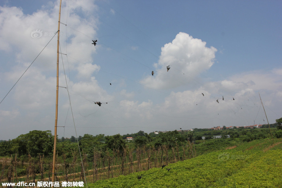 法国队大名单-九游体育(JIUYOU)官方网站-APP下载官网入口