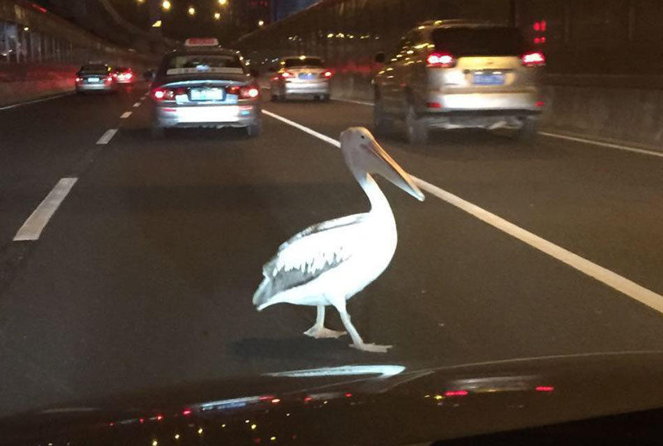 旅游卫视直播-乐鱼app(leyu)官方网站-乐鱼官网