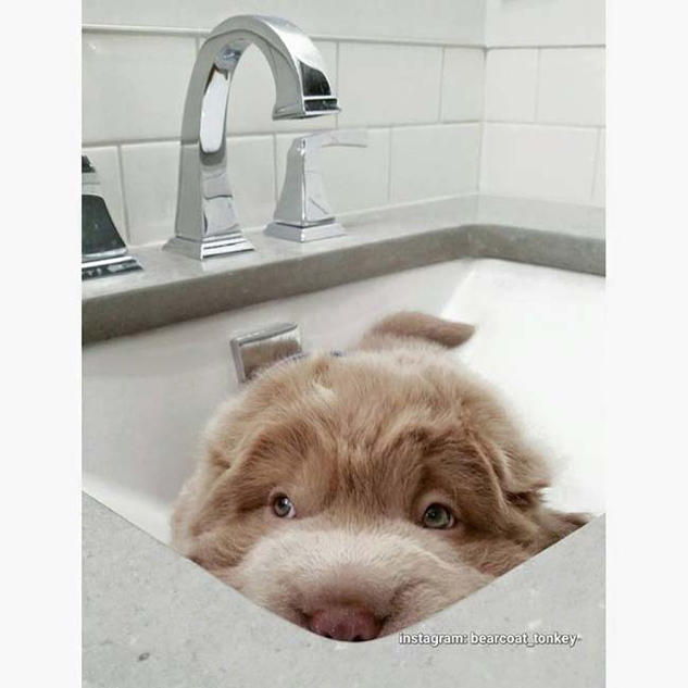 拳王争霸赛直播-乐鱼app(leyu)官方网站-乐鱼官网