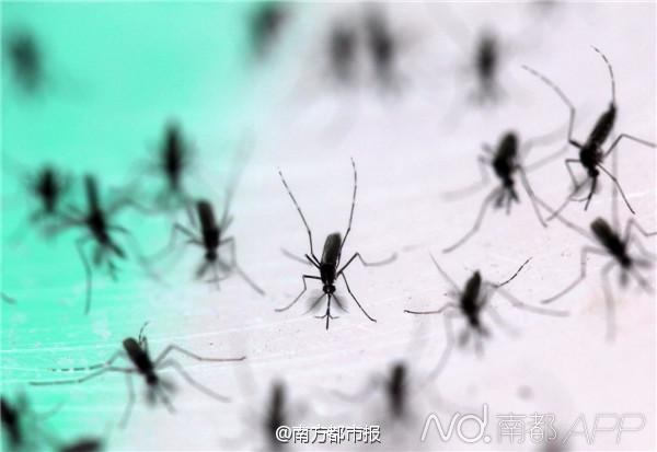 nba魔术师约翰逊-乐鱼app(leyu)官方网站-乐鱼官网