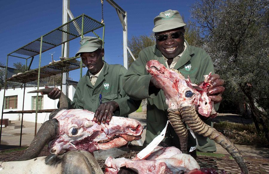 门将萨沙-乐鱼app(leyu)官方网站-乐鱼官网