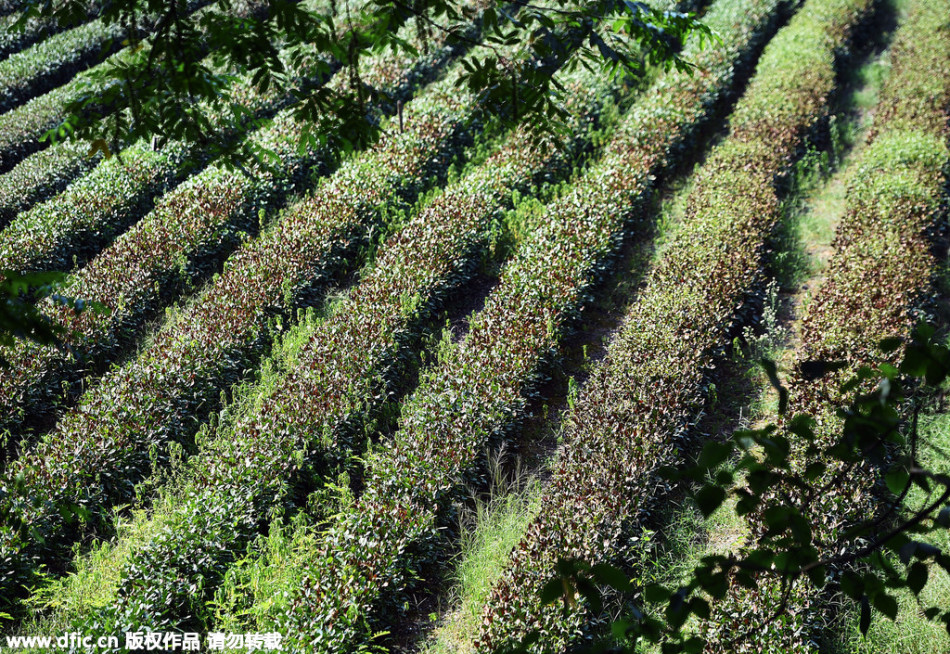 躺枪-乐鱼app(leyu)官方网站-乐鱼官网