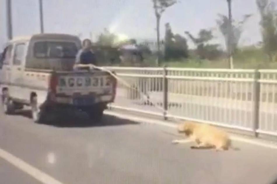 阿森纳vs那不勒斯