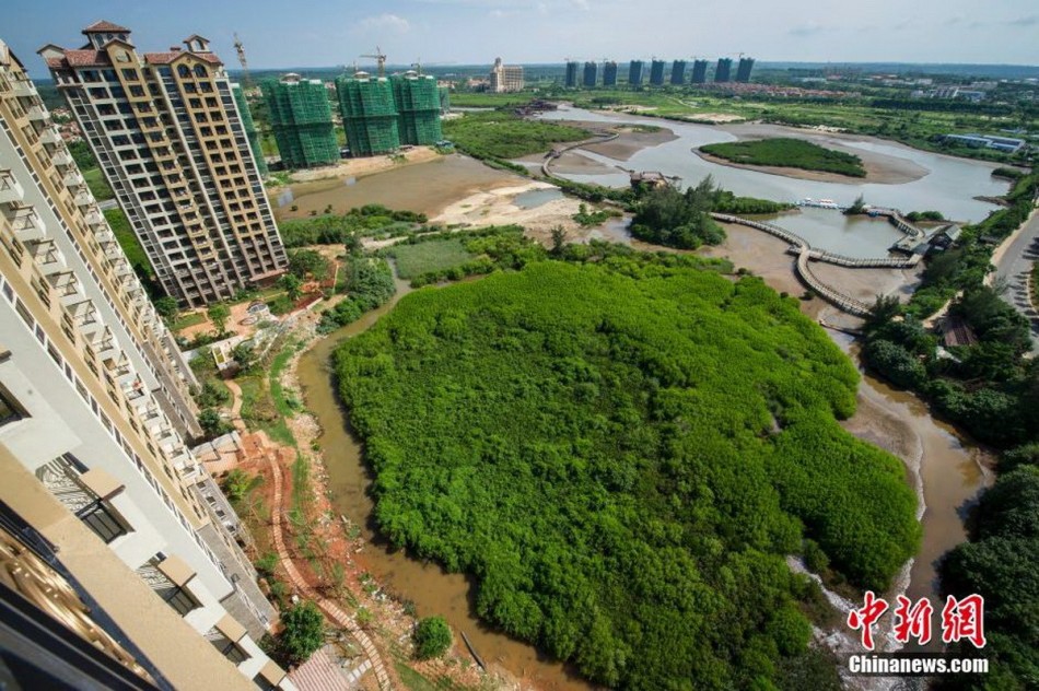 因莫比莱-乐鱼app(leyu)官方网站-乐鱼官网