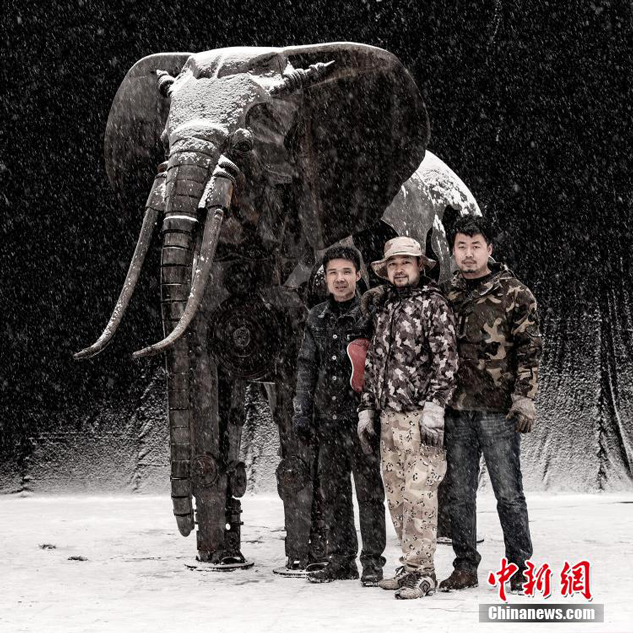 皮奇尼尼-乐鱼app(leyu)官方网站-乐鱼官网