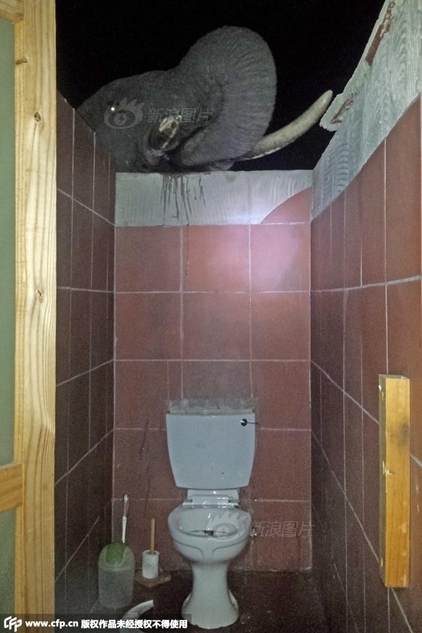 山东鲁能vs上海申花-乐鱼app(leyu)官方网站-乐鱼官网