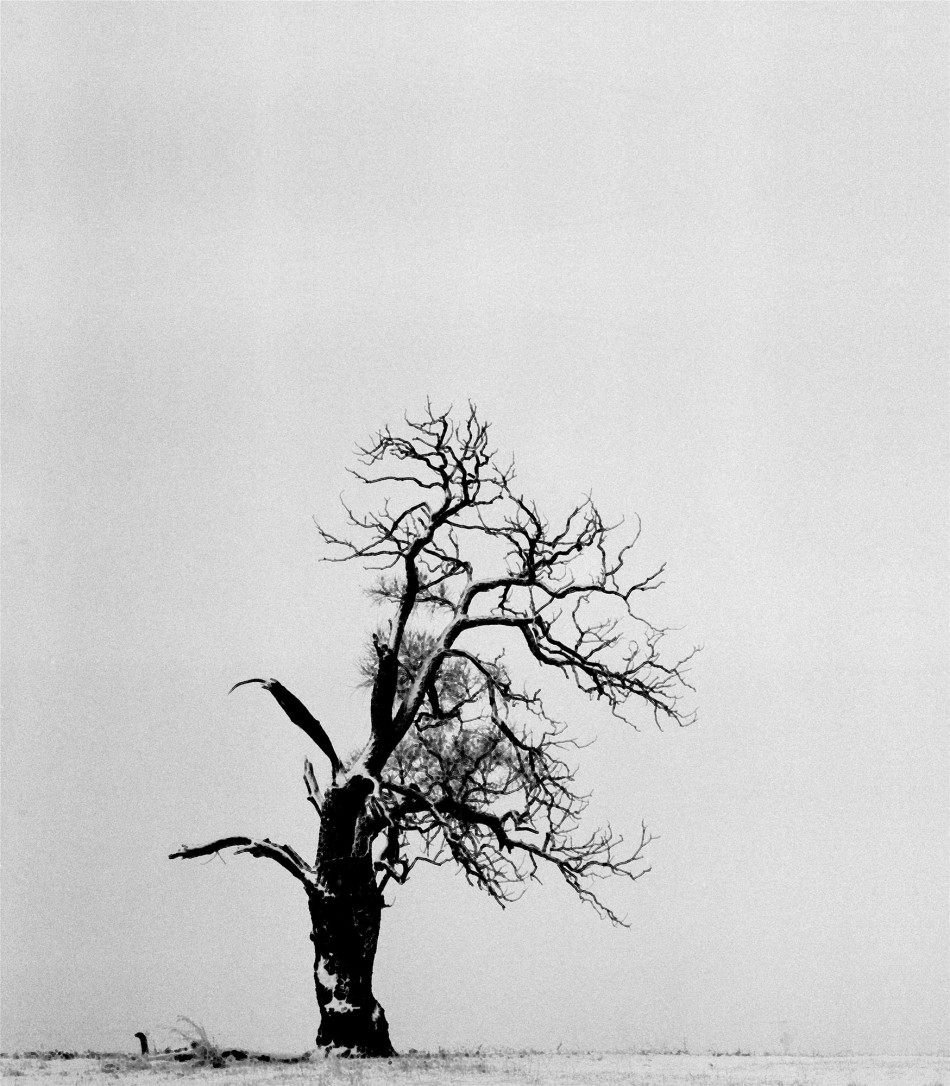 山东鲁能vs广州恒大-乐鱼APP下载-乐鱼体育app-乐鱼体育官网网站|乐鱼体育