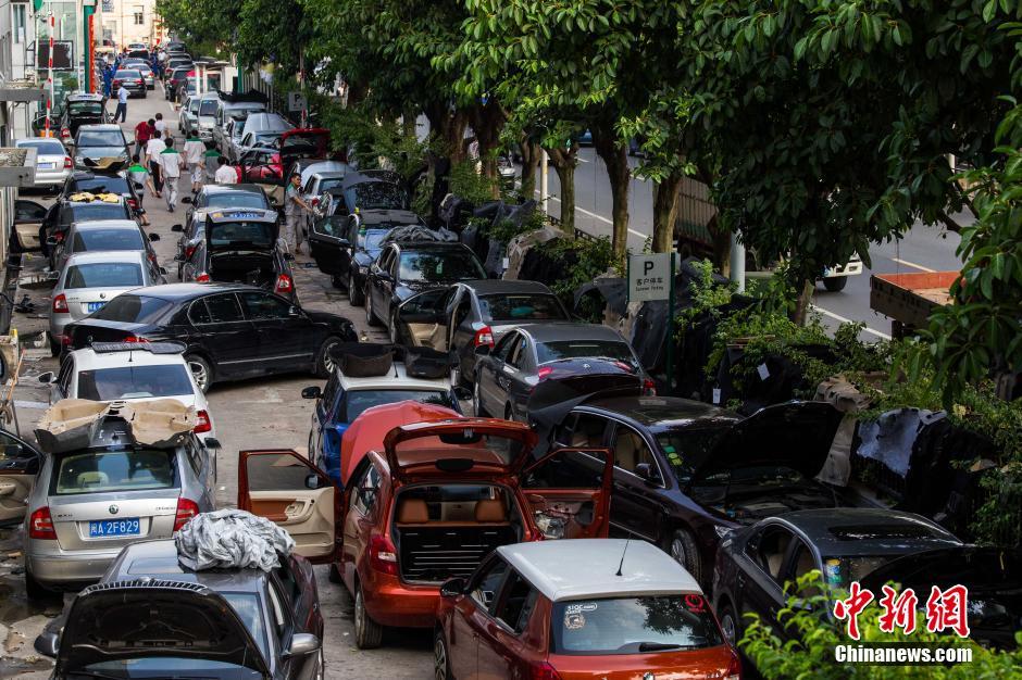 卡瓦略-乐鱼app(leyu)官方网站-乐鱼官网