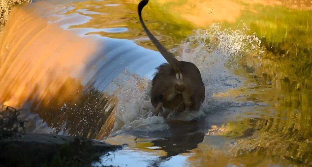 胡迈德-乐鱼app(leyu)官方网站-乐鱼官网