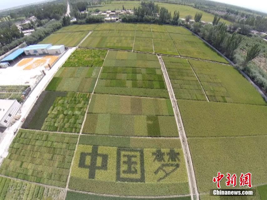 温宿县人口_温宿县第五中学图片