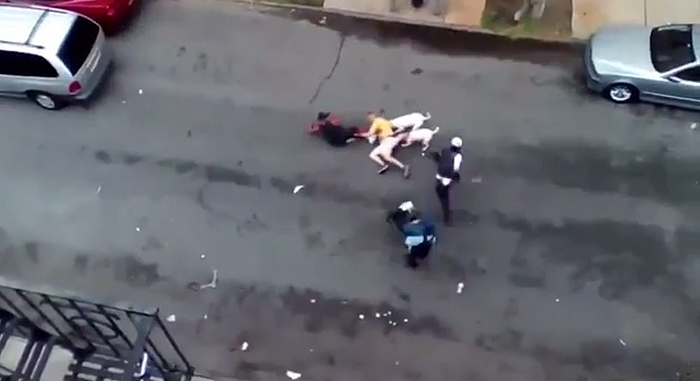 卡尼萨雷斯-乐鱼app(leyu)官方网站-乐鱼官网