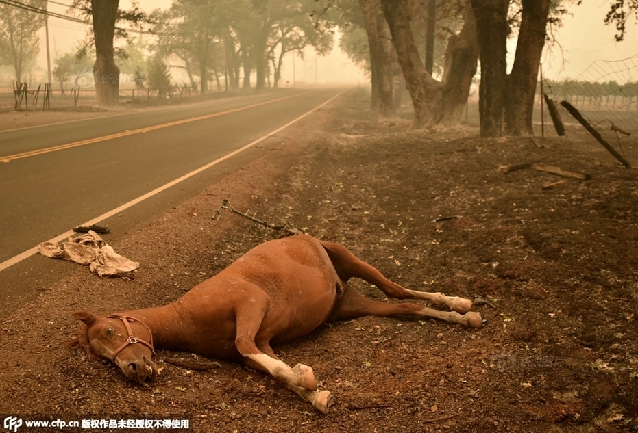 因扎吉自传-九游体育(JIUYOU)官方网站-APP下载官网入口