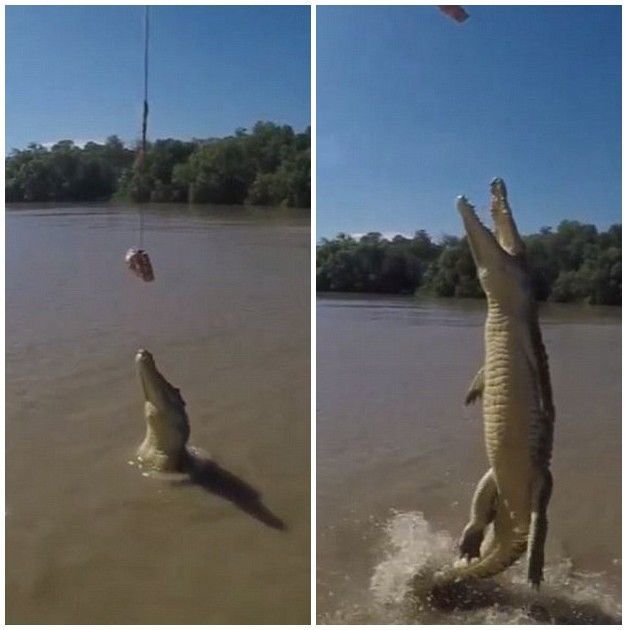 希洪竞技-乐鱼app(leyu)官方网站-乐鱼官网