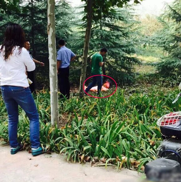 女神捕系列电影-乐鱼app(leyu)官方网站-乐鱼官网