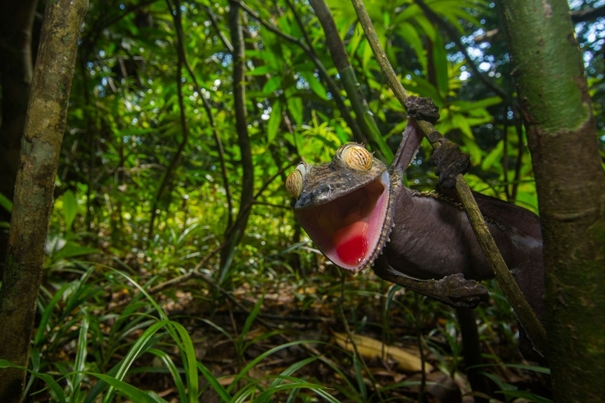 蒋东男-乐鱼app(leyu)官方网站-乐鱼官网