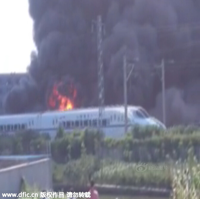 托蒂壁纸-乐鱼app(leyu)官方网站-乐鱼官网