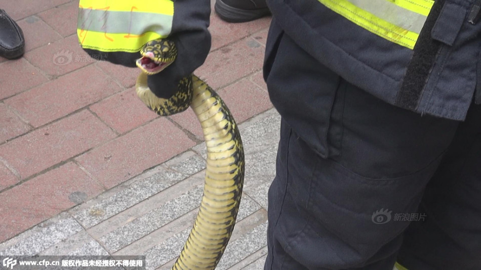 德甲球队分布图-爱游戏App官方下载入口-爱游戏