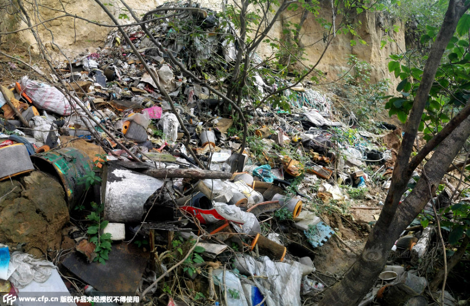 世界杯决赛预测