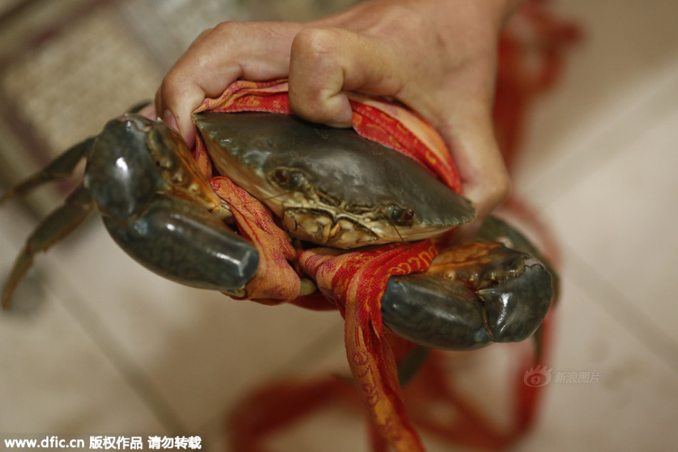 三门海鲜市场_三门小海鲜广告_三门核电站(2)