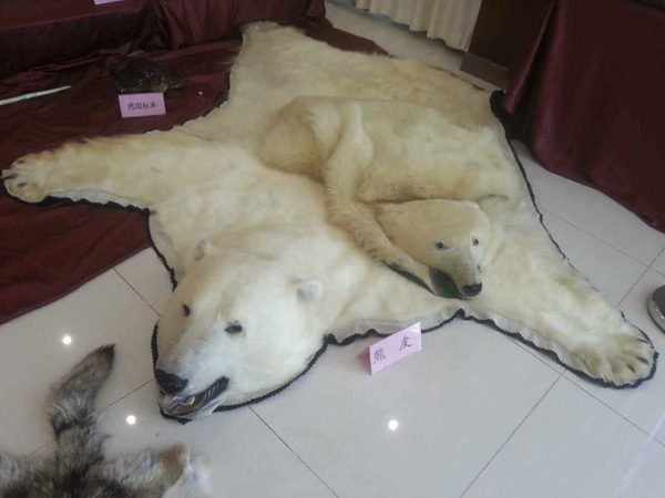 热火vs76人录像-乐鱼app(leyu)官方网站-乐鱼官网