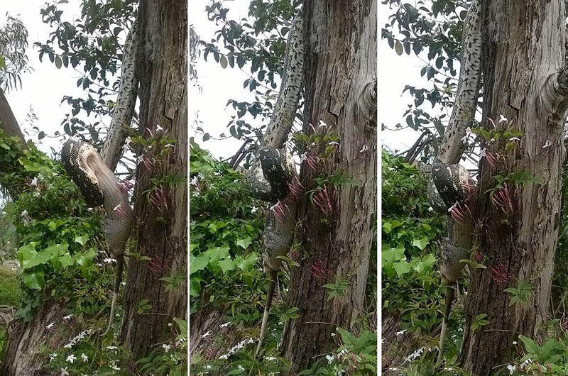 日本 比利时-乐鱼app(leyu)官方网站-乐鱼官网