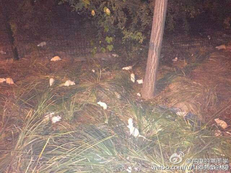 贝克汉姆发型图片-乐鱼app(leyu)官方网站-乐鱼官网