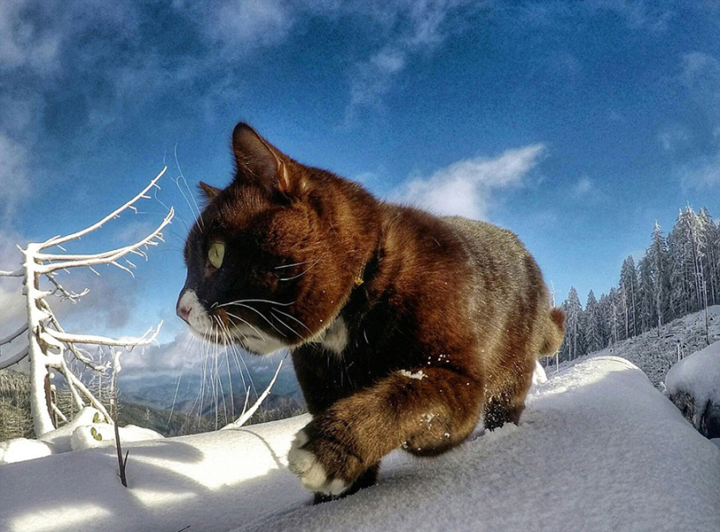 罗本儿子-爱游戏app(中国)官方网站下载_ayx体育app下载