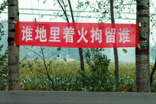 巴尔达诺-乐鱼app(leyu)官方网站-乐鱼官网