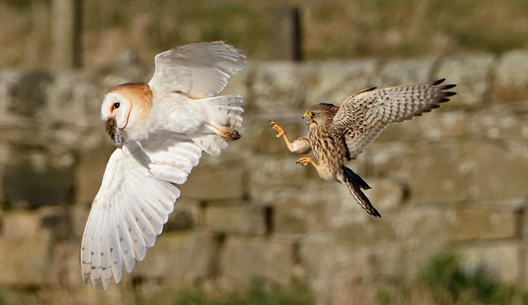 ds足球-乐鱼app(leyu)官方网站-乐鱼官网