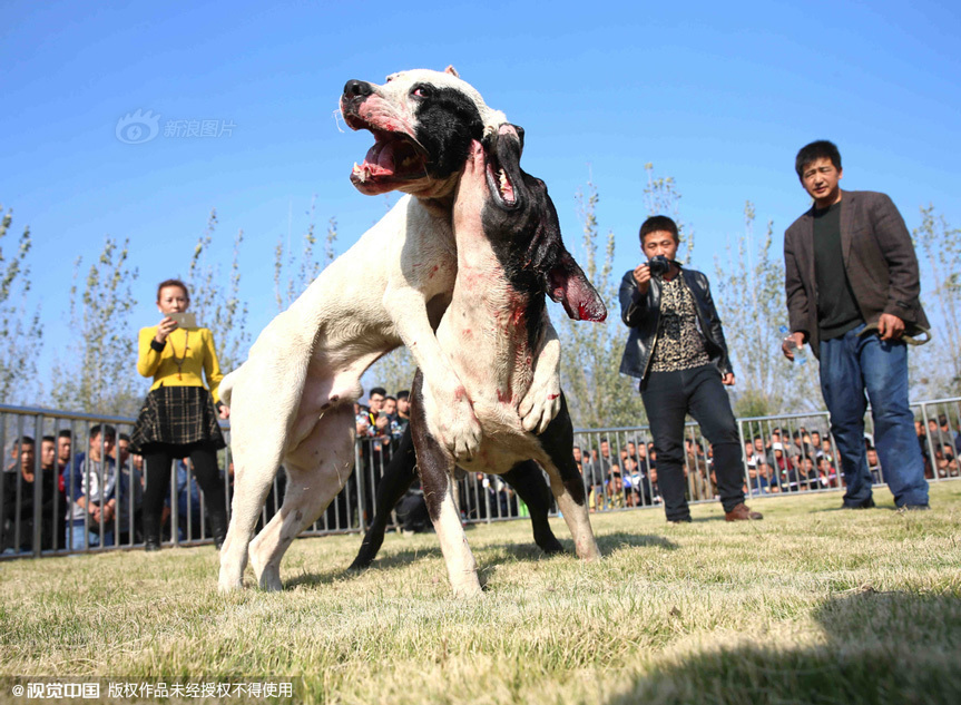 为什么会掉头发-乐鱼app(leyu)官方网站-乐鱼官网