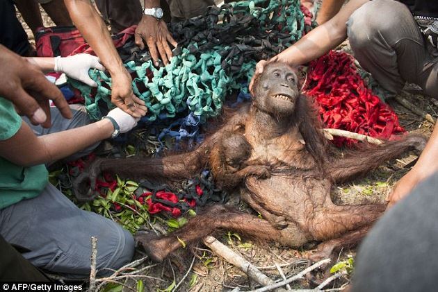 公牛队赛程-乐鱼app(leyu)官方网站-乐鱼官网