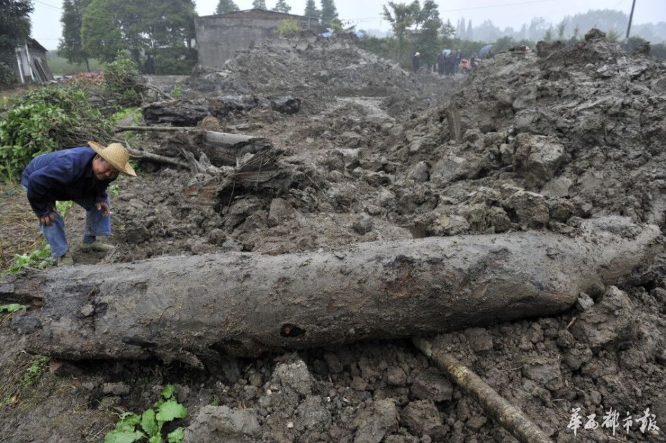 德国vs塞尔维亚-乐鱼app(leyu)官方网站-乐鱼官网