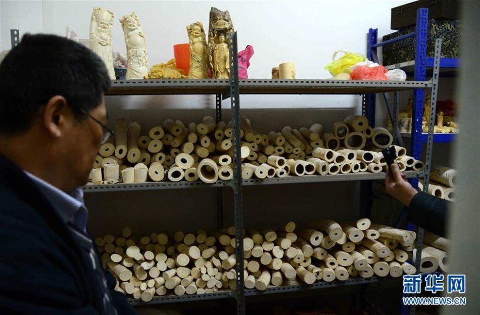 董秋迪-乐鱼app(leyu)官方网站-乐鱼官网