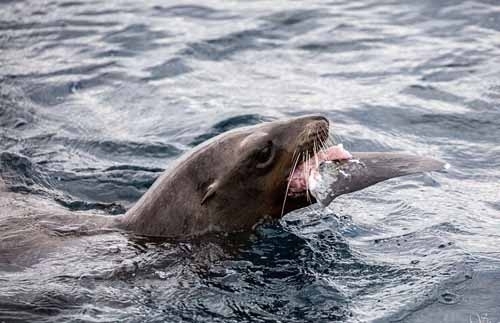 邹市明比赛视频-乐鱼app(leyu)官方网站-乐鱼官网