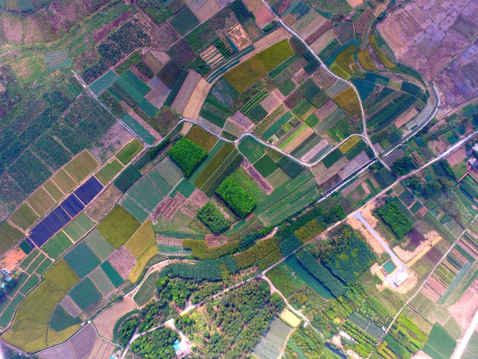 广西百色和梧州哪个gdp谁好_这座城市经济实力居广西第四,城建却被吐槽,你知道是哪吗