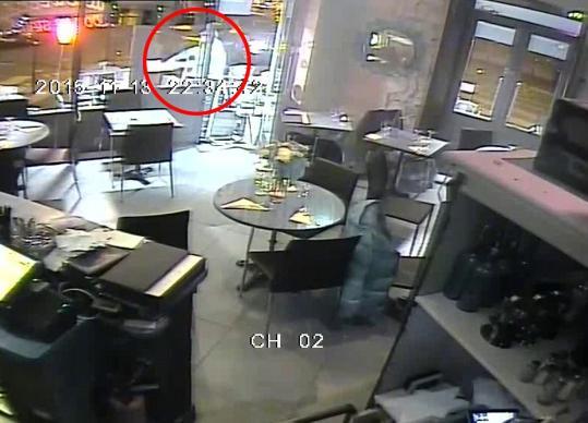 高卢雄鸡-乐鱼app(leyu)官方网站-乐鱼官网