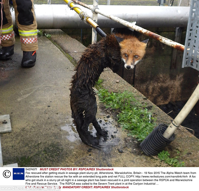 齐鲁电视台现场直播-乐鱼app(leyu)官方网站-乐鱼官网