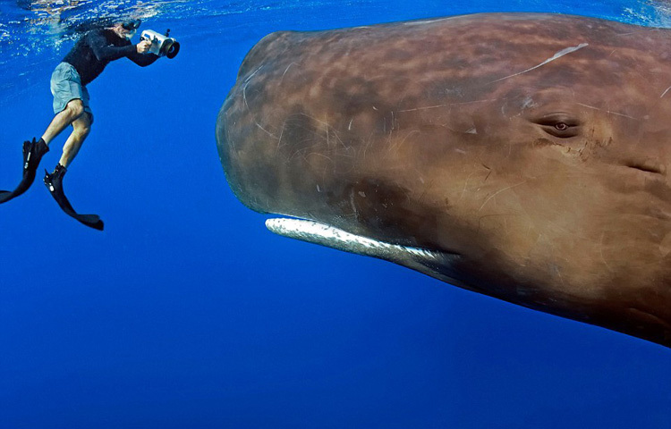 卡西利亚斯身价-乐鱼app(leyu)官方网站-乐鱼官网