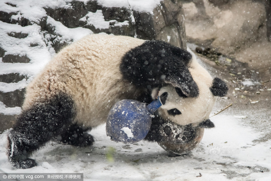 ac米兰转会-乐鱼app(leyu)官方网站-乐鱼官网