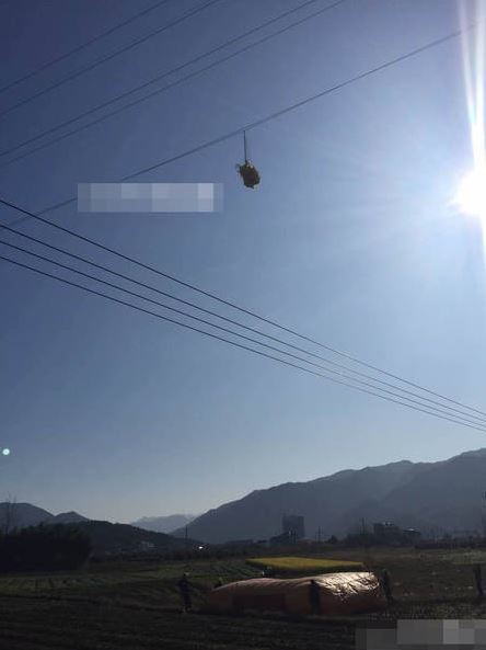 勒夫克林斯曼-九游体育APP下载-九游体育app-九游体育app官网网站|九游体育