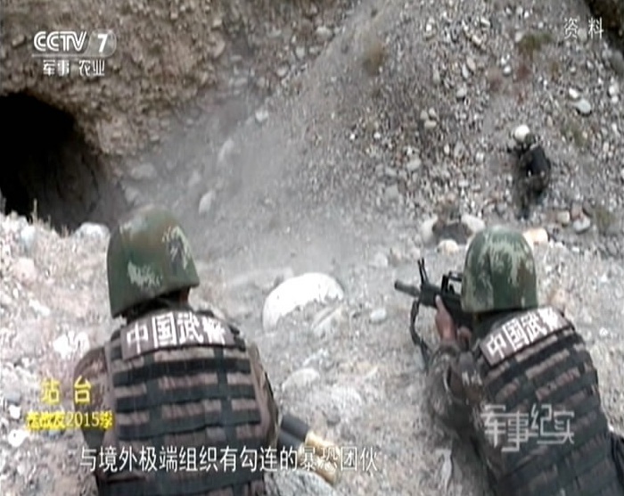 PP电子发发树