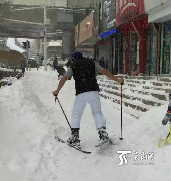 柯奇士-乐鱼app(leyu)官方网站-乐鱼官网