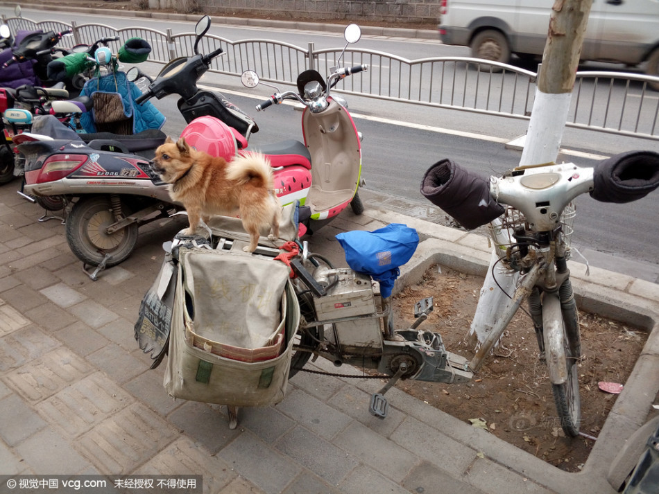 纳瓦斯眼睛-乐鱼app(leyu)官方网站-乐鱼官网