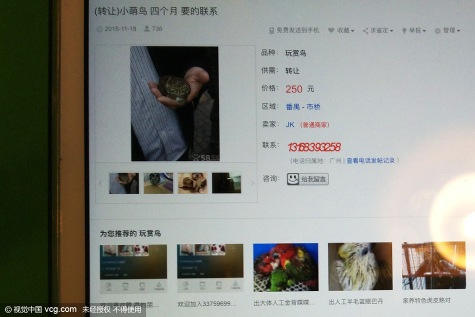 真人24捕鱼比赛下载