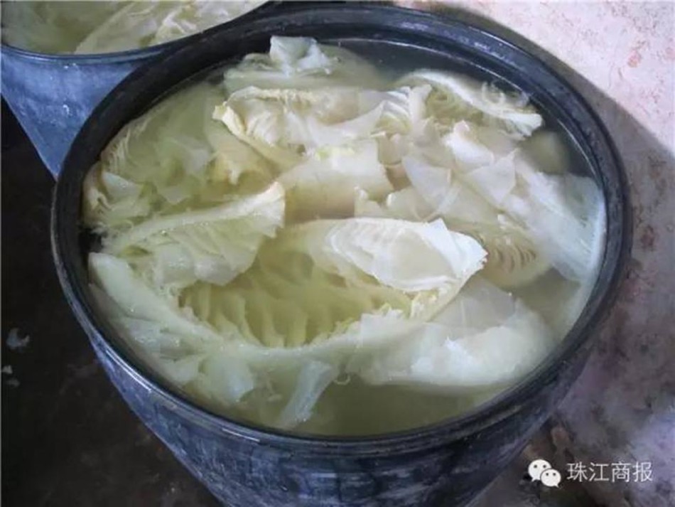 巴西vs克罗地亚直播-乐鱼app(leyu)官方网站-乐鱼官网