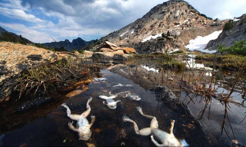 地球之殇：超震撼图片透视环境污染